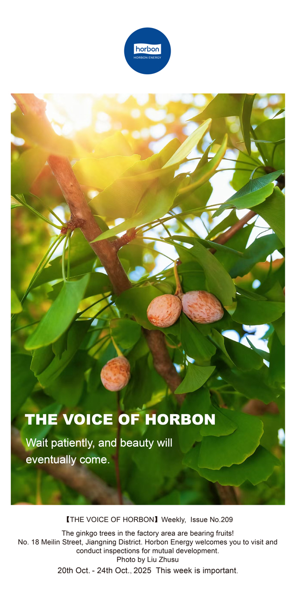 1767164721936442omII.jpg 【和之声】耐心等待,美好终将到来。-(总第209期)2025.10.20英文导出季度推送用.jpg