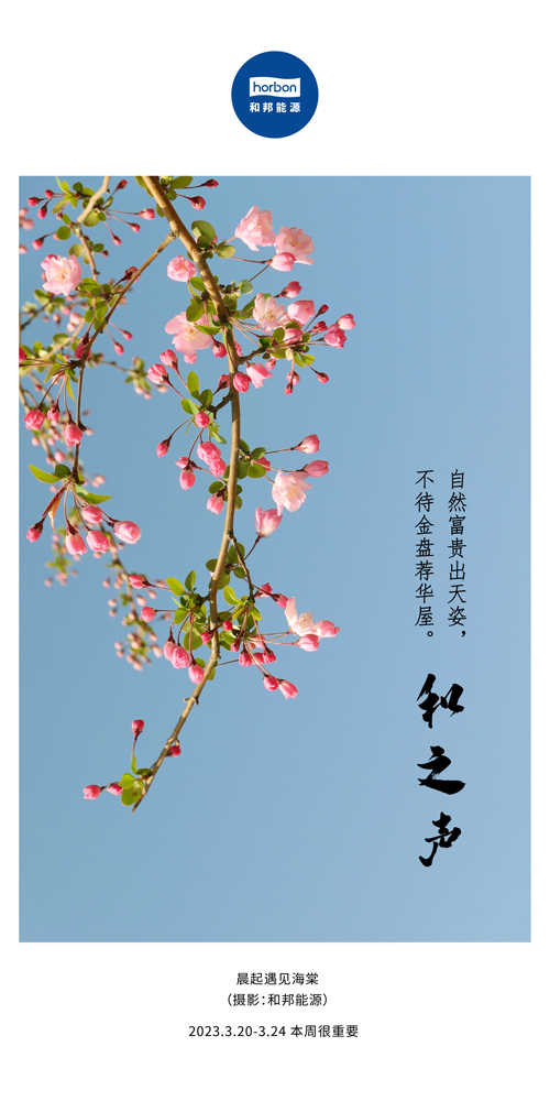 74-和之声（本周很重要）2022.3季度推送用.jpg