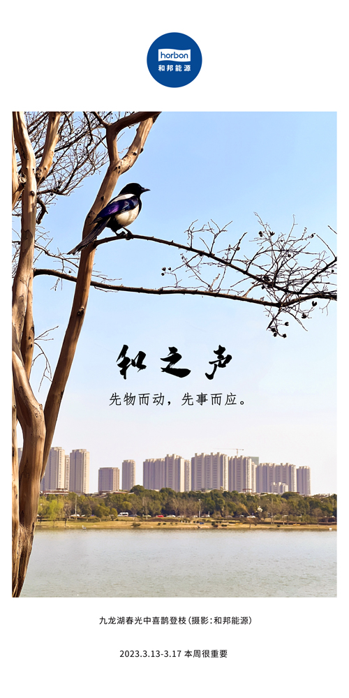 73-和之声（本周很重要）2022.3季度推送送用.jpg