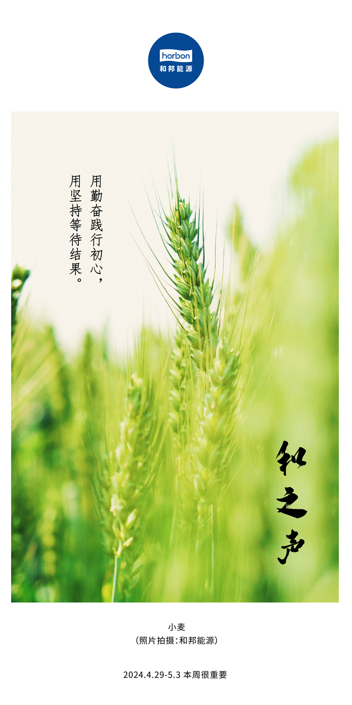 【和之声】用勤奋践行初心，用坚持等待结果。（总第132期）2024.4.29-5中文改小季度推送用.jpg
