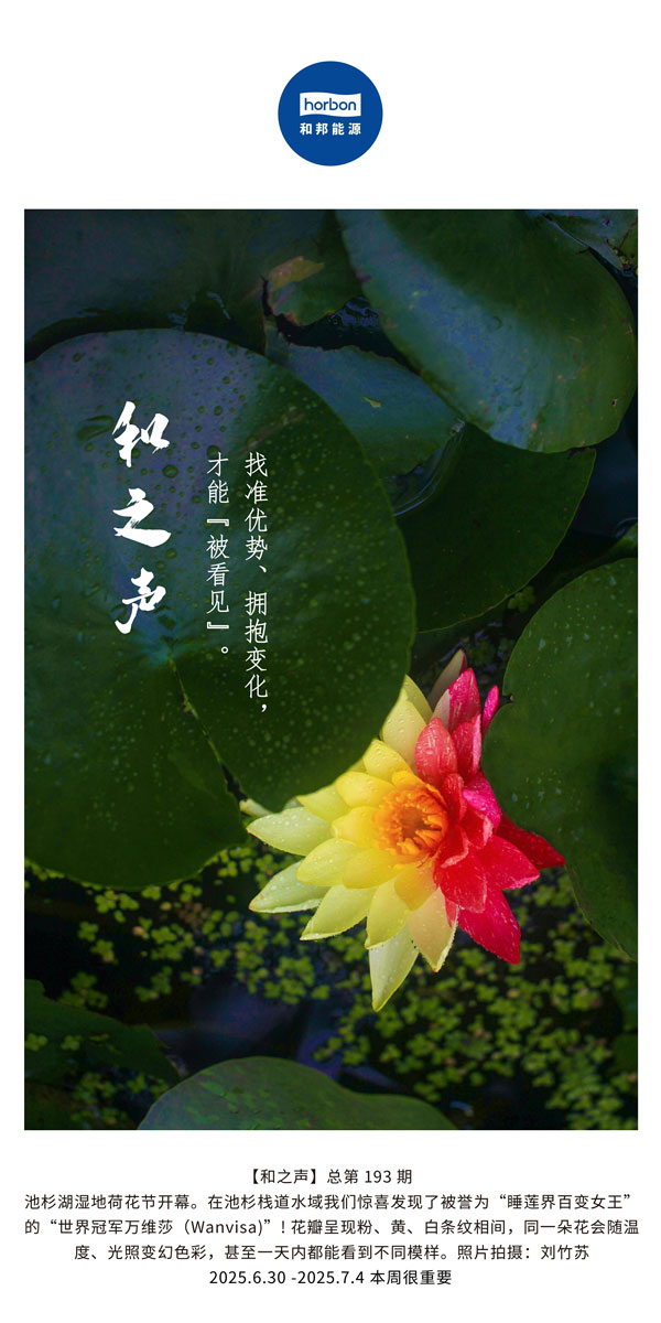 【和之声】找准优势、拥抱变化，才能“被看见”。(总第193期）--2025.6中文导出季度推送用.jpg