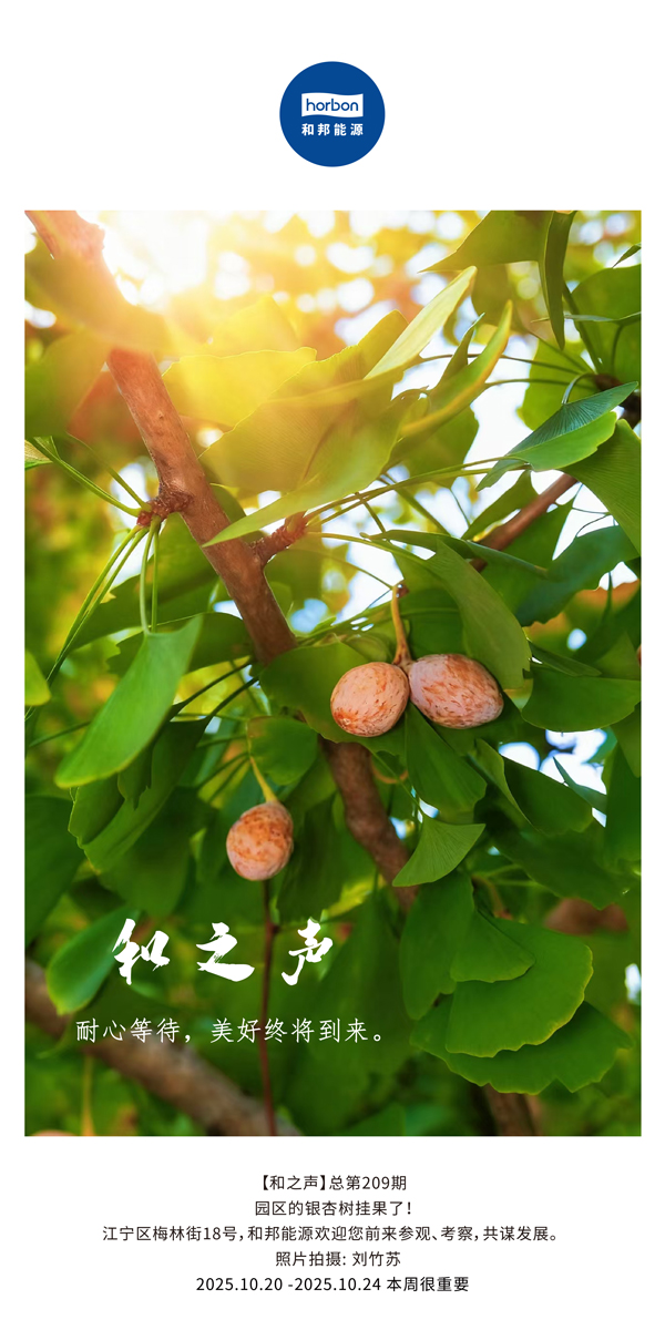 【和之声】耐心等待，美好终将到来。-(总第209期）2025.10.20中文导出季度推送用.jpg